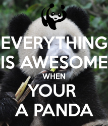 everything-is-awesome-when-your-a-panda